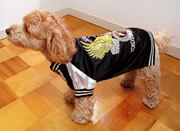 ワンスカ(犬スカジャン)